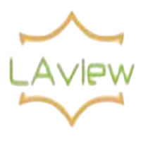 Laview Camera