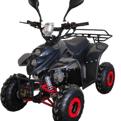 Quad Bike