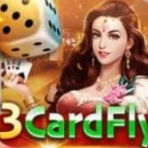3cardfly 3cardfly