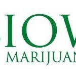Iowa Marijuanacard