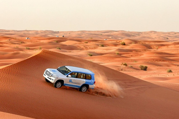 Marveick Safari
