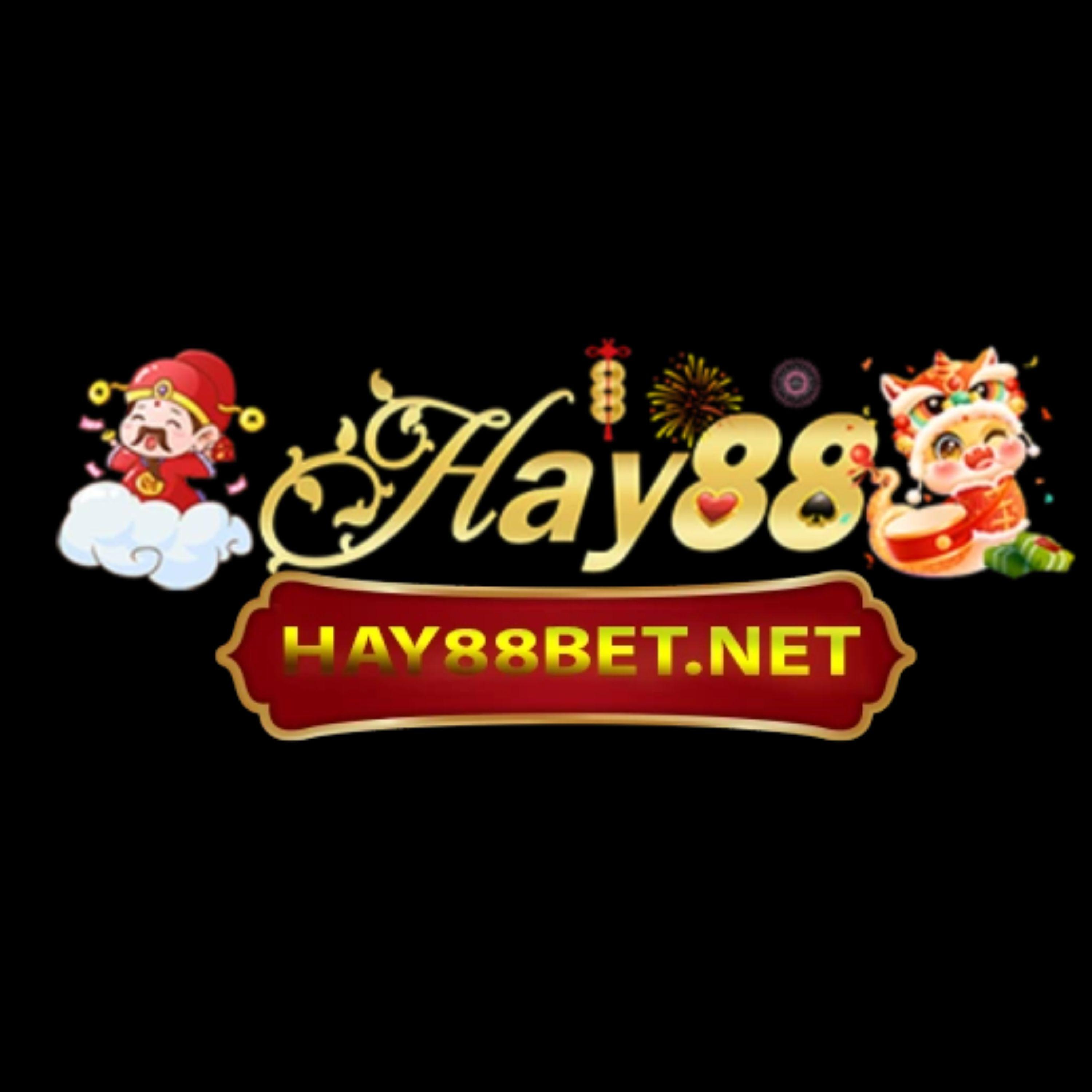 HAYtamtam BETNET
