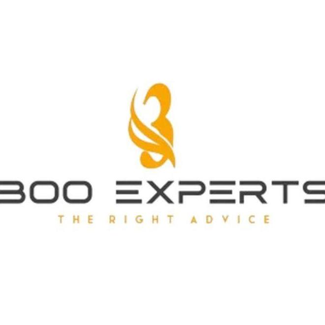 300 Experts