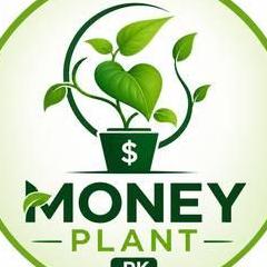Money Plant