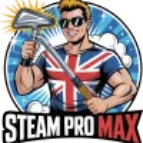 Steam Promax
