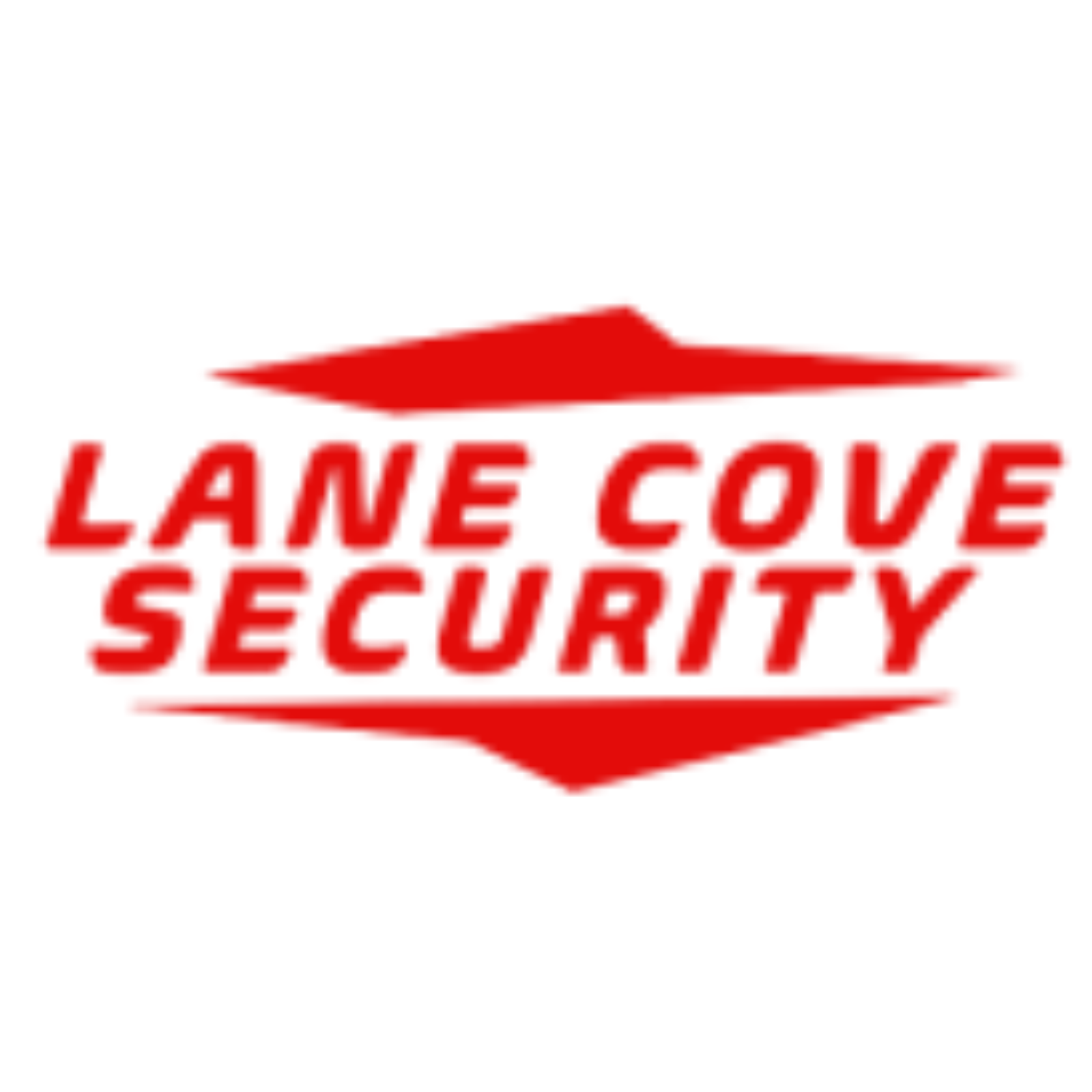 Lanecove Security