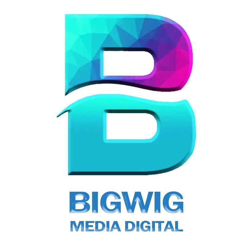 Bigwig Mediadigital