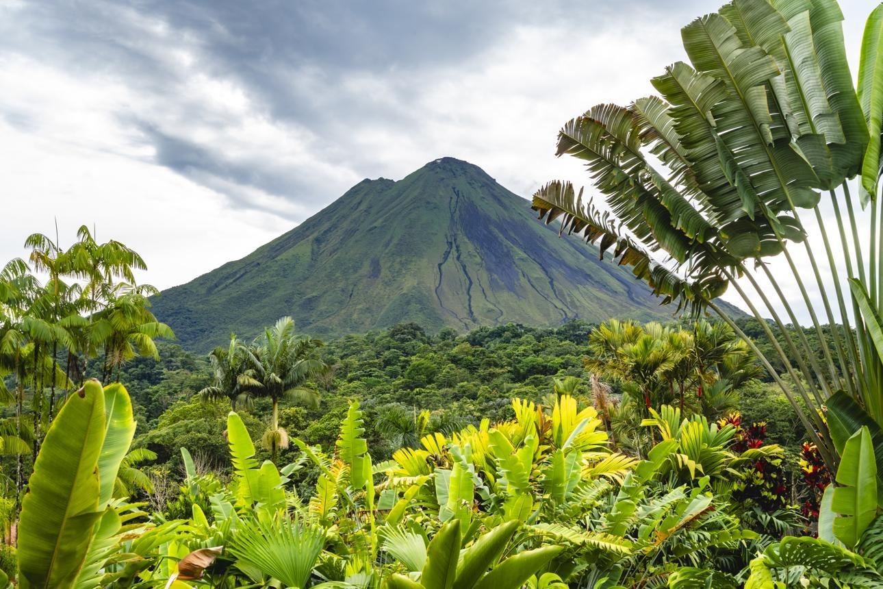 Lush tropical foliage at the foot of the  Arenal Volcano in Costa Rica
